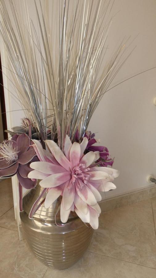 Apartament Monte Anastacia Lagos Zewnętrze zdjęcie